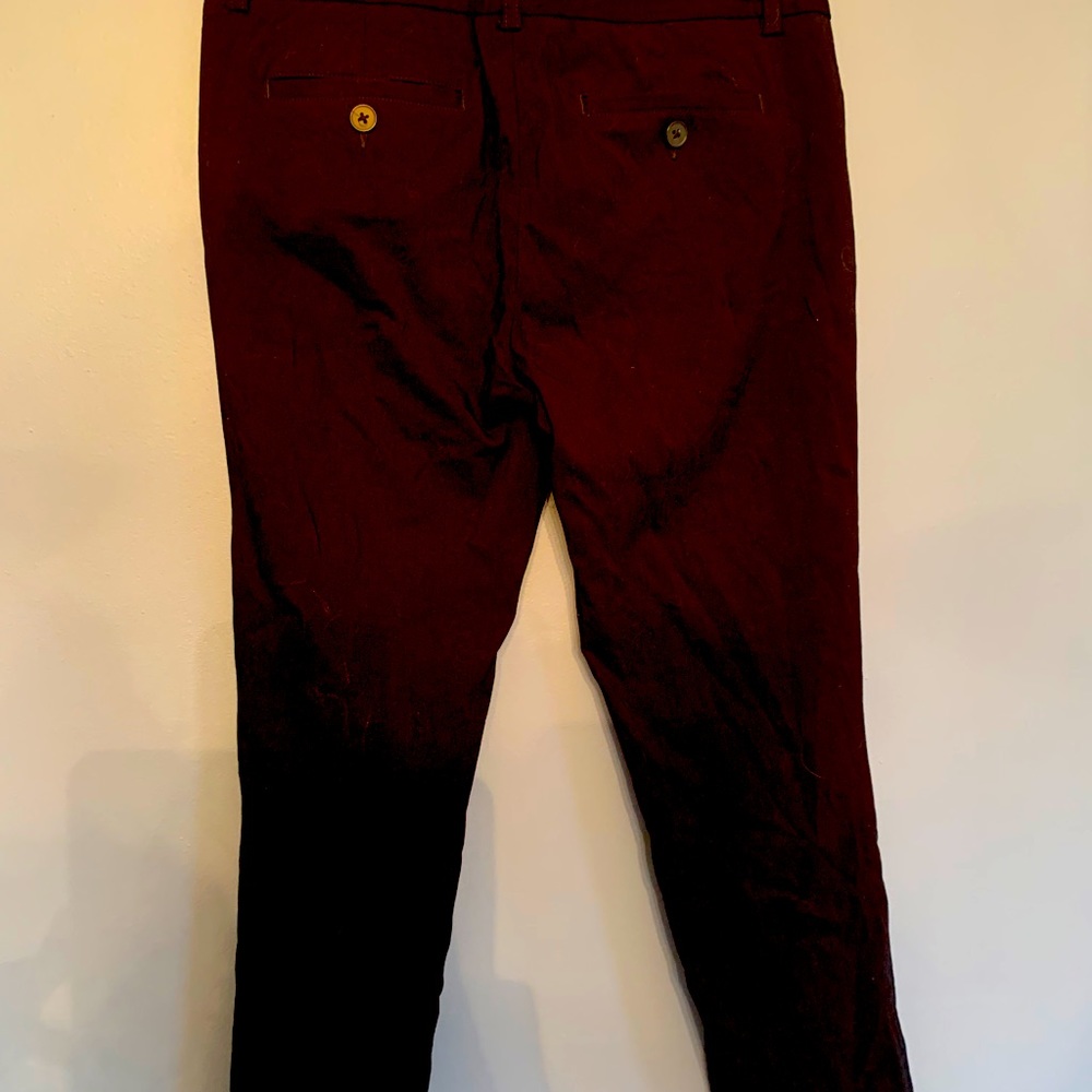 Express Design Studio Pants